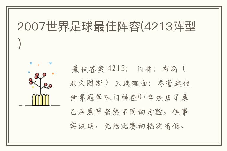 2007世界足球最佳阵容(4213阵型)
