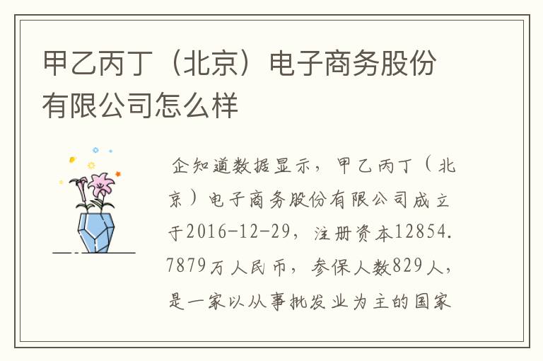 甲乙丙丁(北京)电子商务股份有限公司怎么样