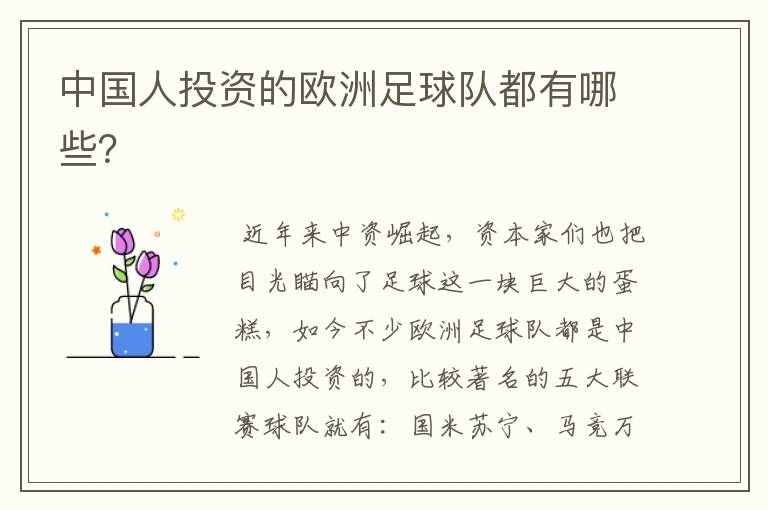 中国人投资的欧洲足球队都有哪些?