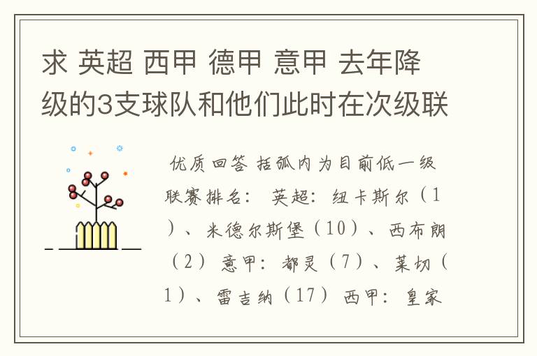 求 英超 西甲 德甲 意甲 去年降级的3支球队和他们此时在次级联赛的排名