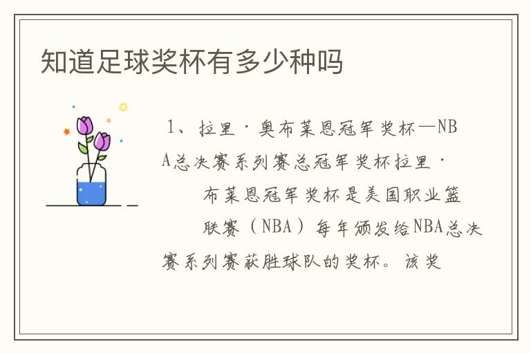 知道足球奖杯有多少种吗
