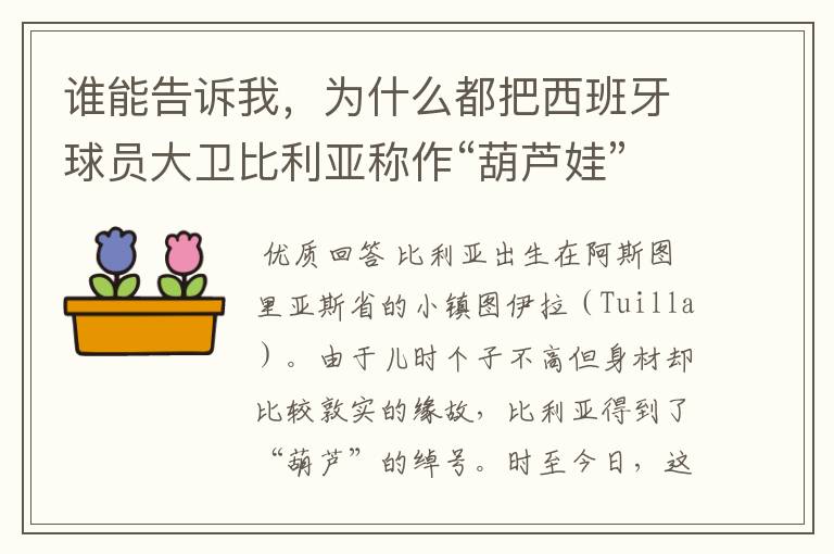 谁能告诉我,为什么都把西班牙球员大卫比利亚称作“葫芦娃”呢?