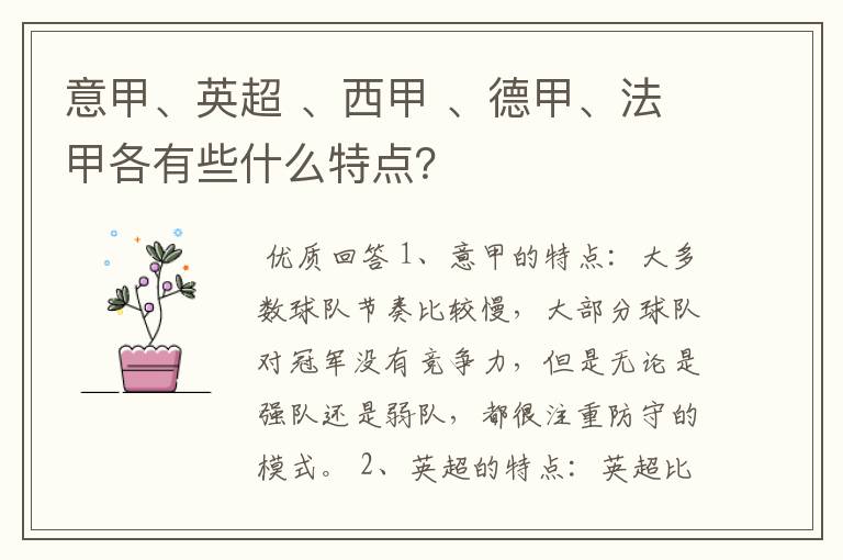 意甲、英超 、西甲 、德甲、法甲各有些什么特点?