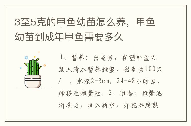 3至5克的甲鱼幼苗怎么养,甲鱼幼苗到成年甲鱼需要多久