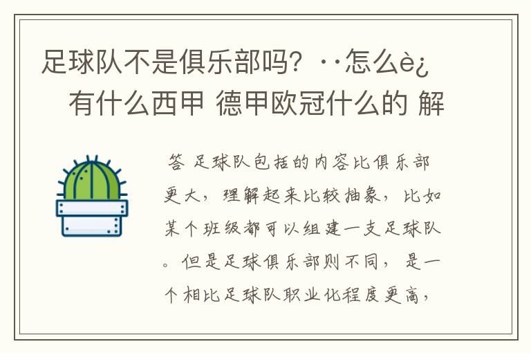 足球队不是俱乐部吗?··怎么还有什么西甲 德甲欧冠什么的 解释一下?