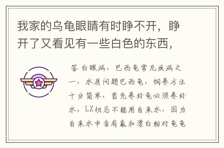 我家的乌龟眼睛有时睁不开,睁开了又看见有一些白色的东西,像人的眼屎一样,贴着上面和下面。我该怎么办