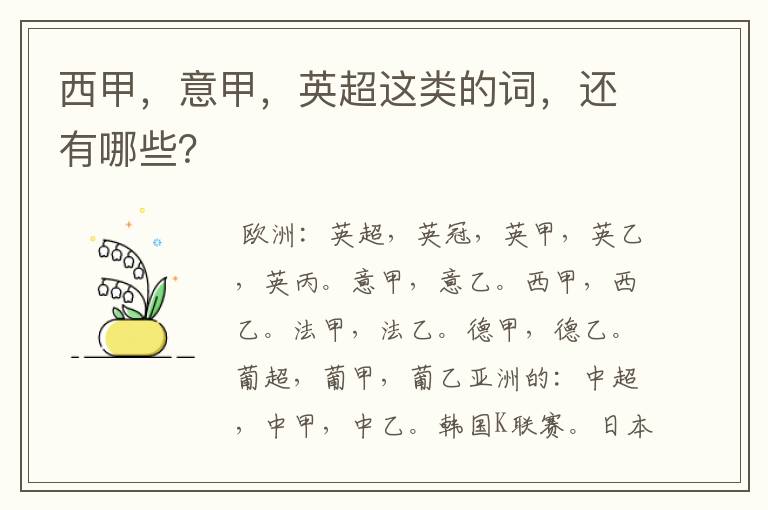 西甲,意甲,英超这类的词,还有哪些?