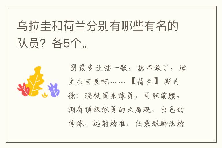 乌拉圭和荷兰分别有哪些有名的队员?各5个。