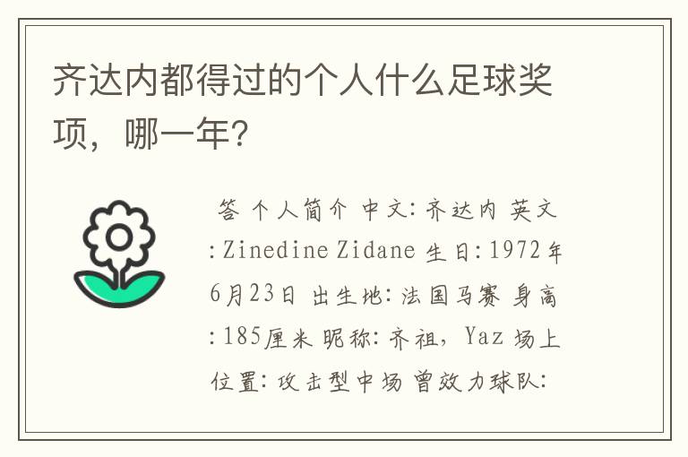 齐达内都得过的个人什么足球奖项,哪一年?