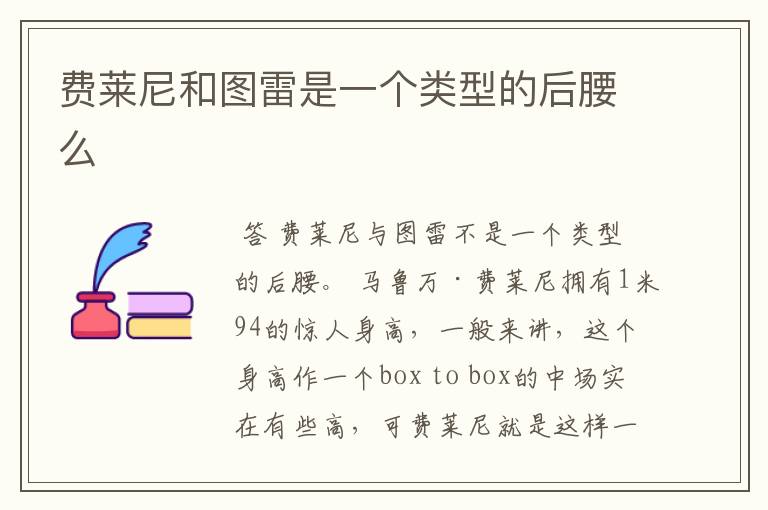 费莱尼和图雷是一个类型的后腰么