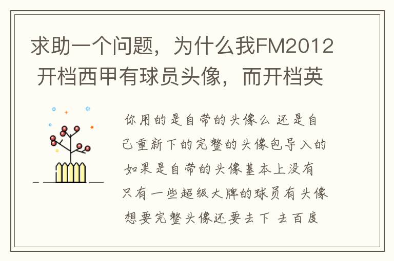 求助一个问题,为什么我FM2012 开档西甲有球员头像,而开档英超没有球员头像?求大虾解释。