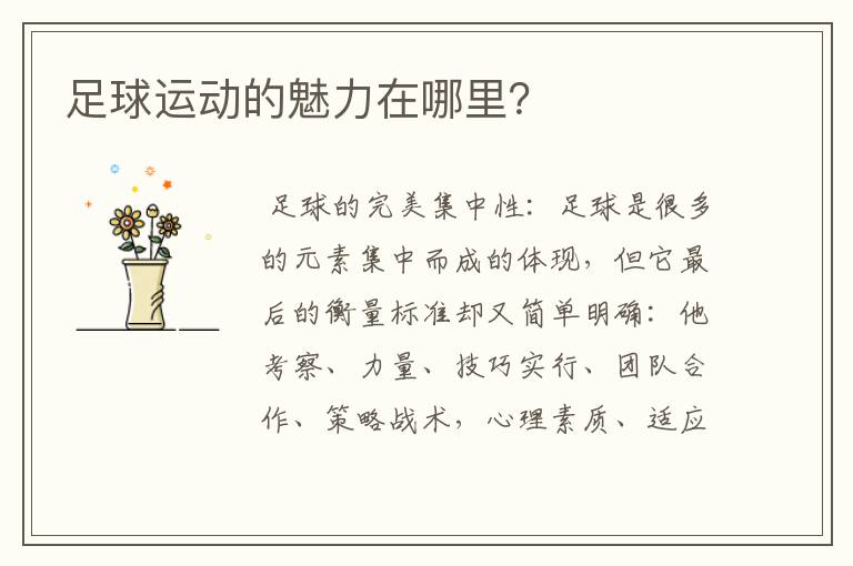 足球运动的魅力在哪里?