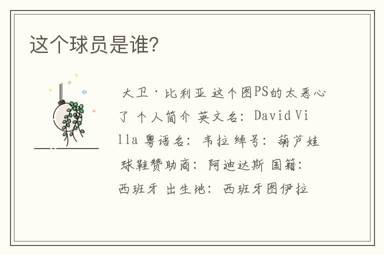 这个球员是谁?
