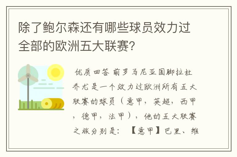 除了鲍尔森还有哪些球员效力过全部的欧洲五大联赛?