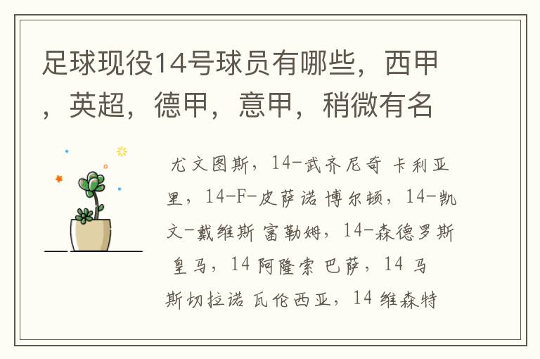 足球现役14号球员有哪些,西甲,英超,德甲,意甲,稍微有名气点的。 除了沃尔科特,埃尔南德斯,莫得里奇