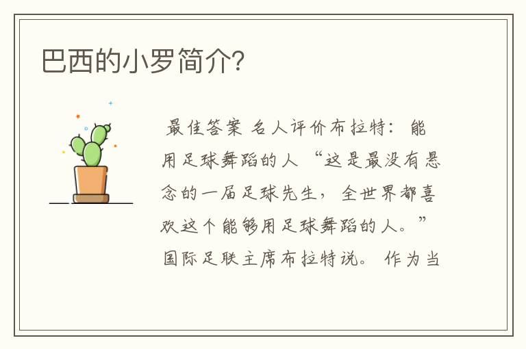 巴西的小罗简介?