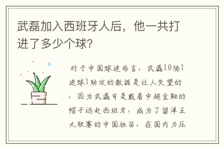 武磊加入西班牙人后,他一共打进了多少个球?