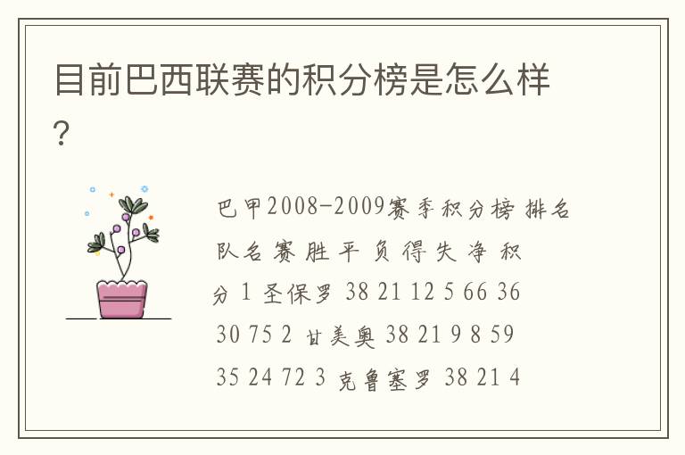 目前巴西联赛的积分榜是怎么样?