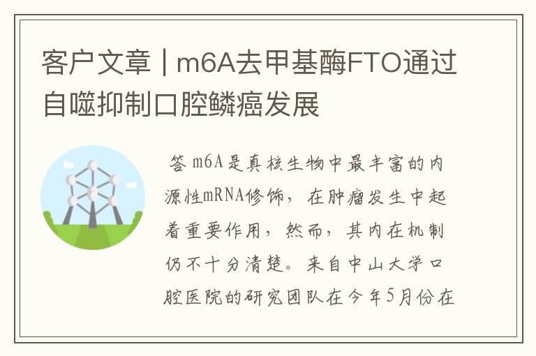 客户文章 | m6A去甲基酶FTO通过自噬抑制口腔鳞癌发展
