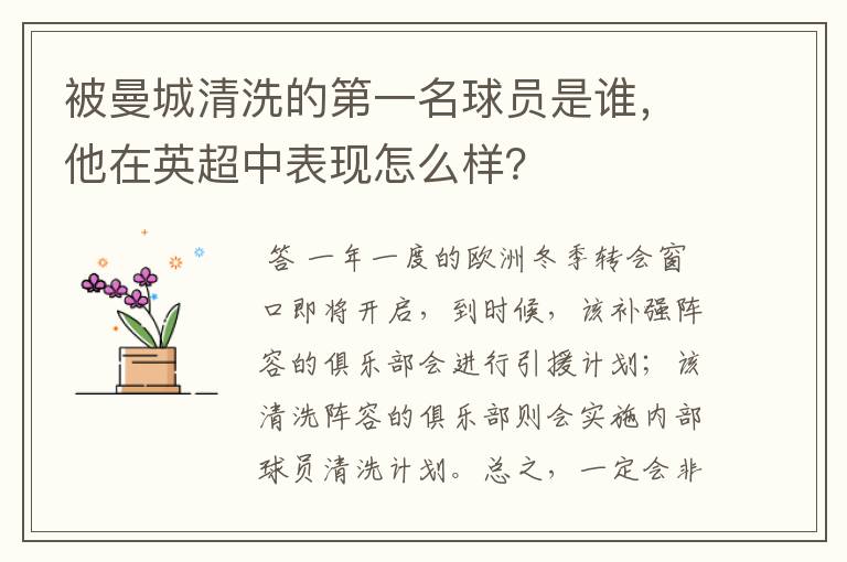 被曼城清洗的第一名球员是谁,他在英超中表现怎么样?