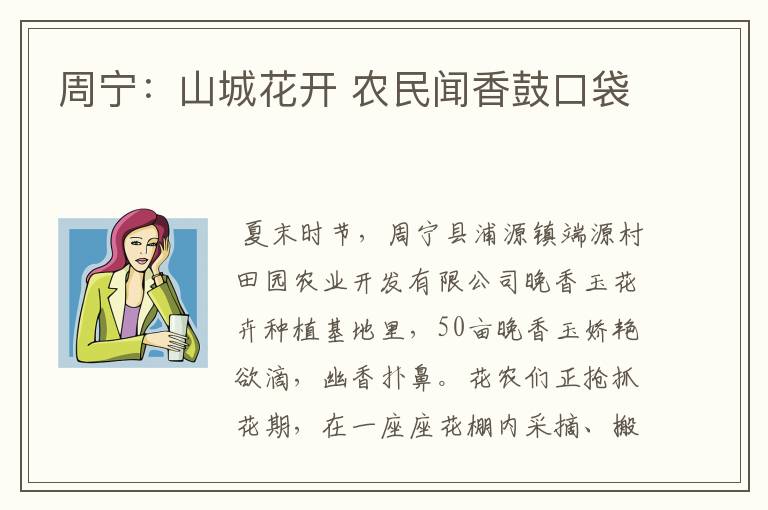 周宁:山城花开 农民闻香鼓口袋