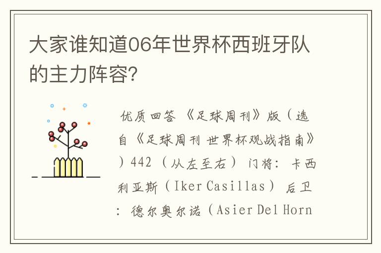 大家谁知道06年世界杯西班牙队的主力阵容?