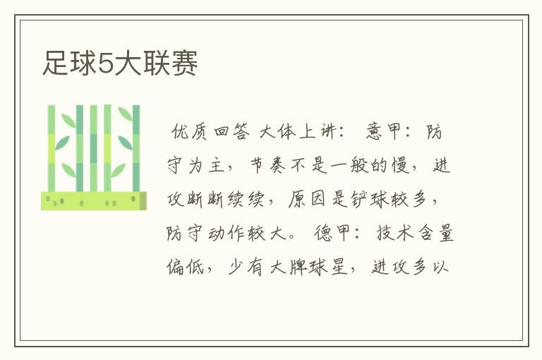 足球5大联赛