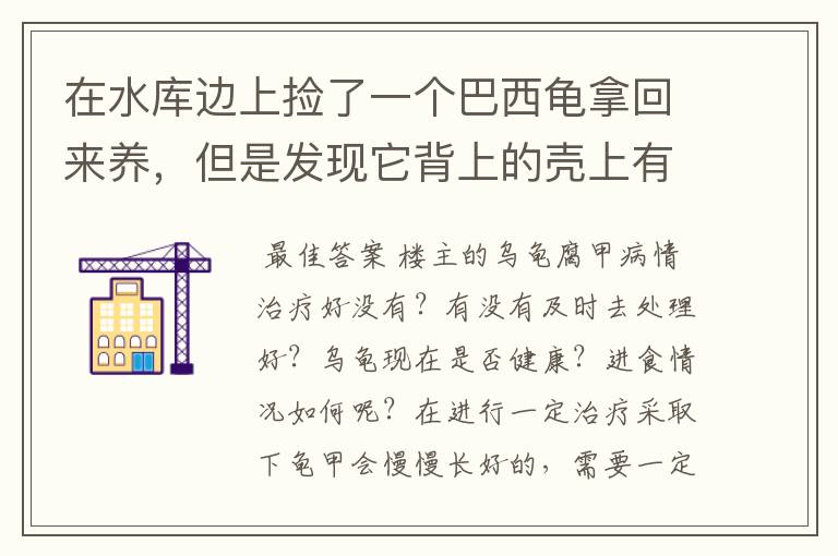 在水库边上捡了一个巴西龟拿回来养,但是发现它背上的壳上有一个个的白点,白点中间是洞,就跟人的脚气一