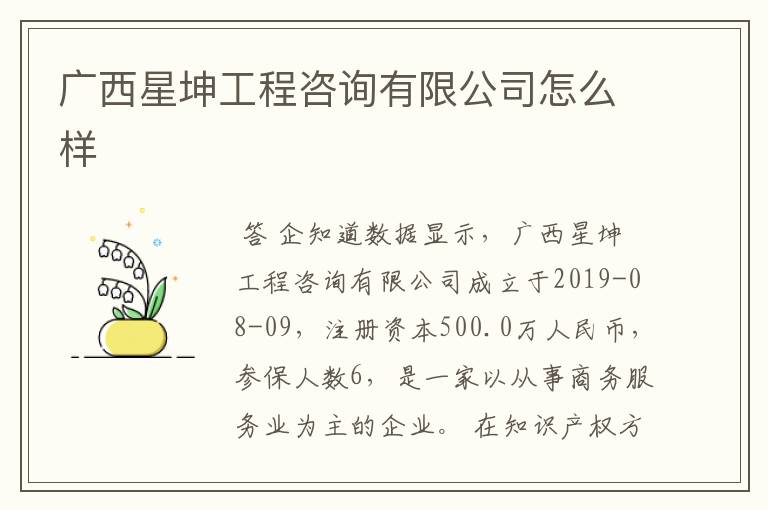 广西星坤工程咨询有限公司怎么样