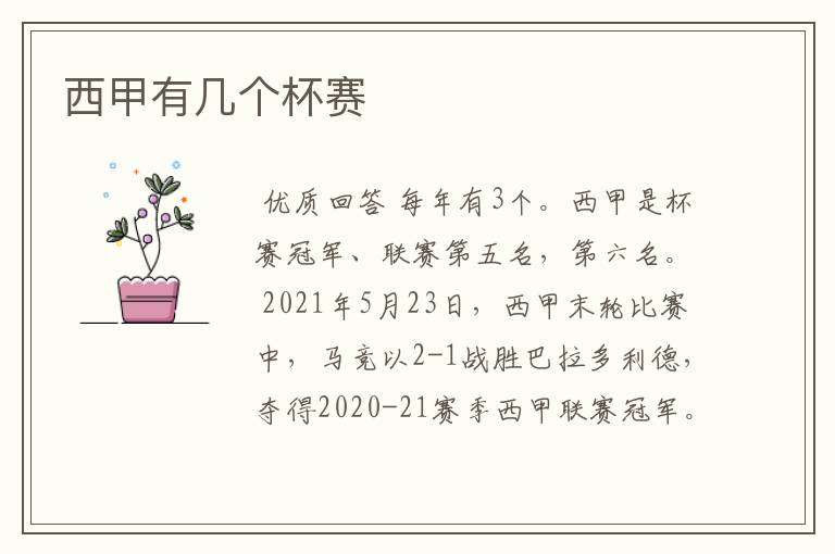 西甲有几个杯赛