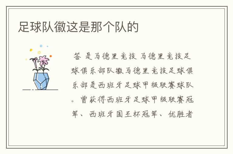 足球队徽这是那个队的