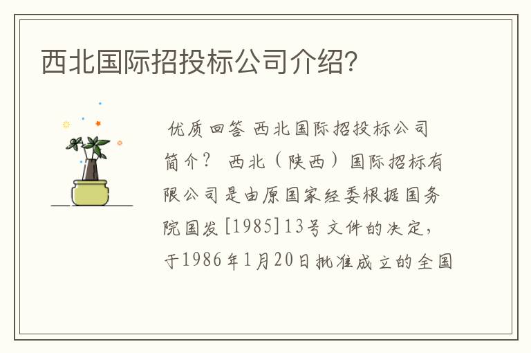 西北国际招投标公司介绍?