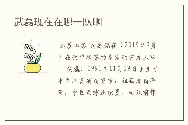 武磊现在在哪一队啊