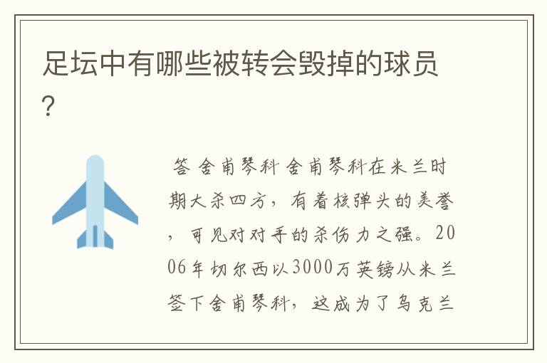 足坛中有哪些被转会毁掉的球员?