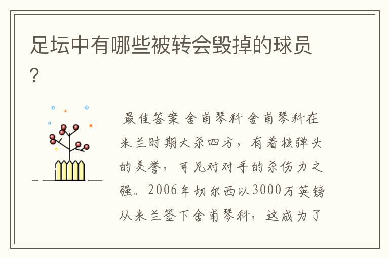 足坛中有哪些被转会毁掉的球员?