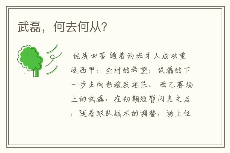 武磊,何去何从?