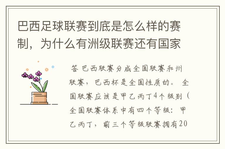 巴西足球联赛到底是怎么样的赛制,为什么有洲级联赛还有国家联赛,虽然还参加南美联赛,赛事这么忙怎么比