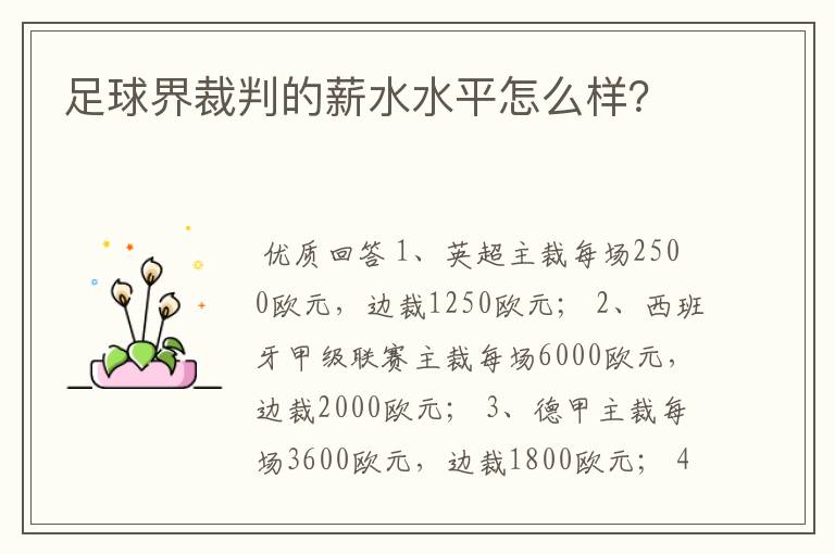 足球界裁判的薪水水平怎么样?