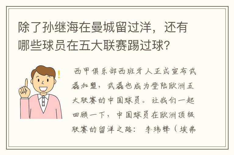 除了孙继海在曼城留过洋,还有哪些球员在五大联赛踢过球?
