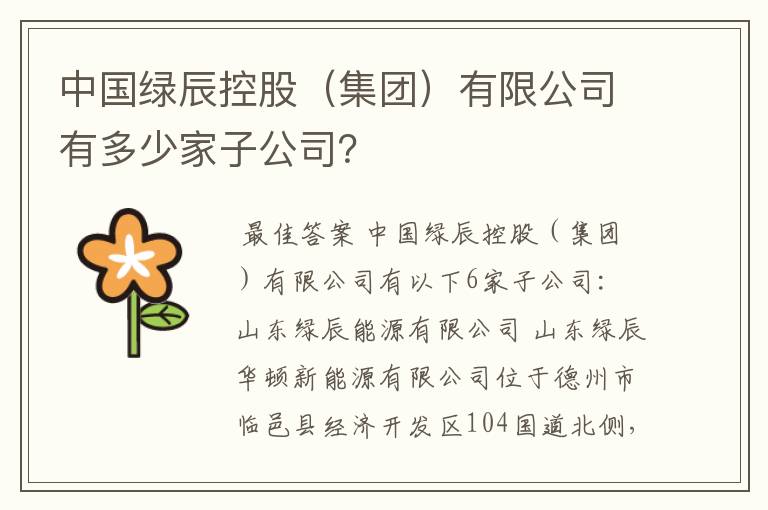 中国绿辰控股(集团)有限公司有多少家子公司?