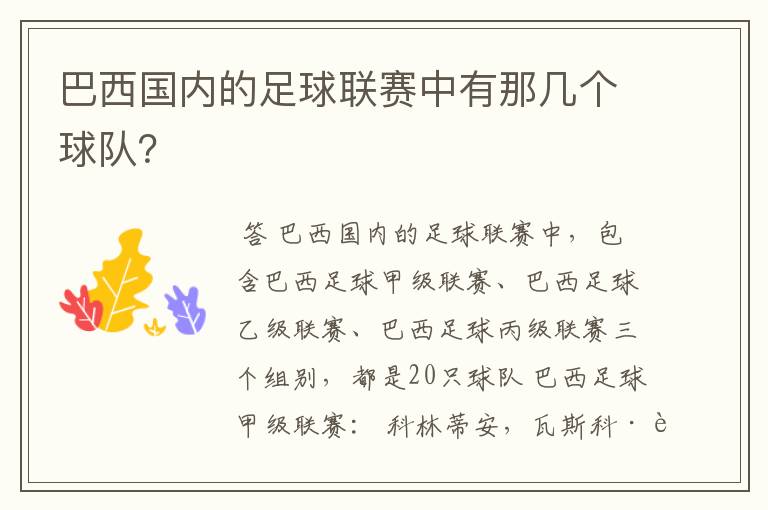 巴西国内的足球联赛中有那几个球队?