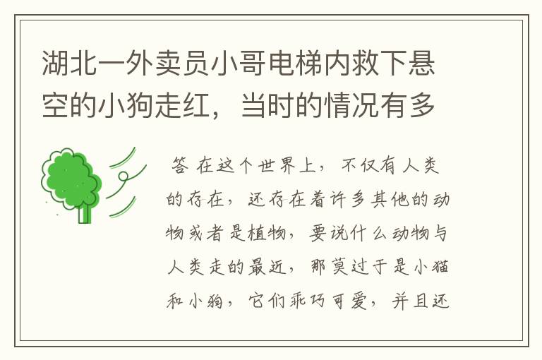 湖北一外卖员小哥电梯内救下悬空的小狗走红,当时的情况有多紧急?