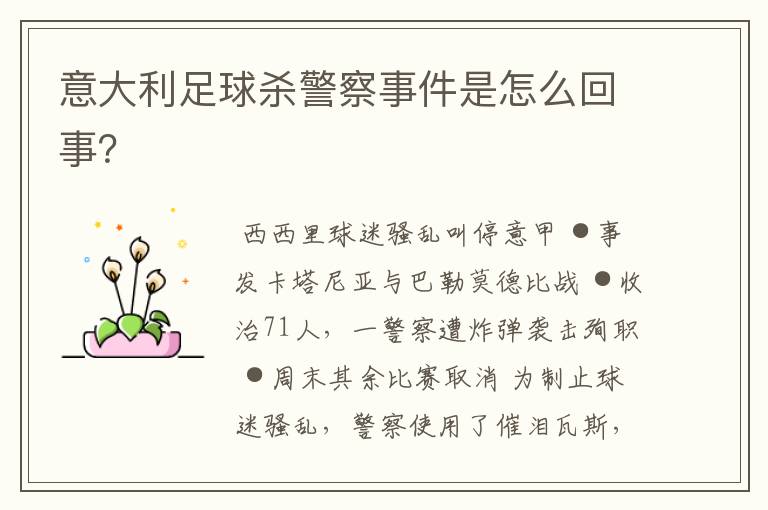 意大利足球杀警察事件是怎么回事?