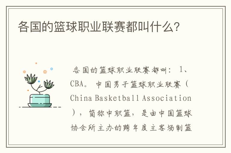 各国的篮球职业联赛都叫什么?