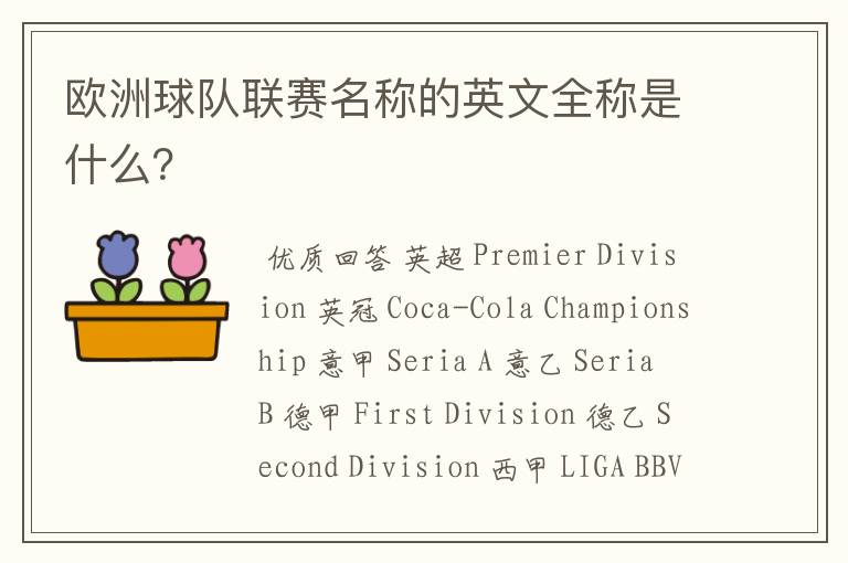 欧洲球队联赛名称的英文全称是什么?