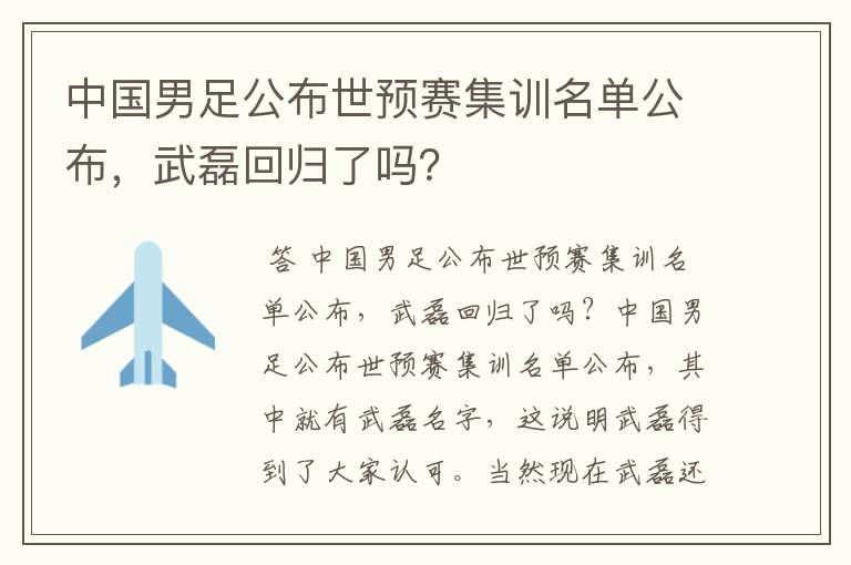 中国男足公布世预赛集训名单公布,武磊回归了吗?