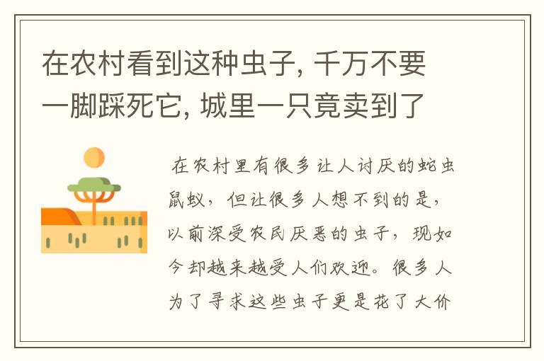 在农村看到这种虫子, 千万不要一脚踩死它, 城里一只竟卖到了几万块钱