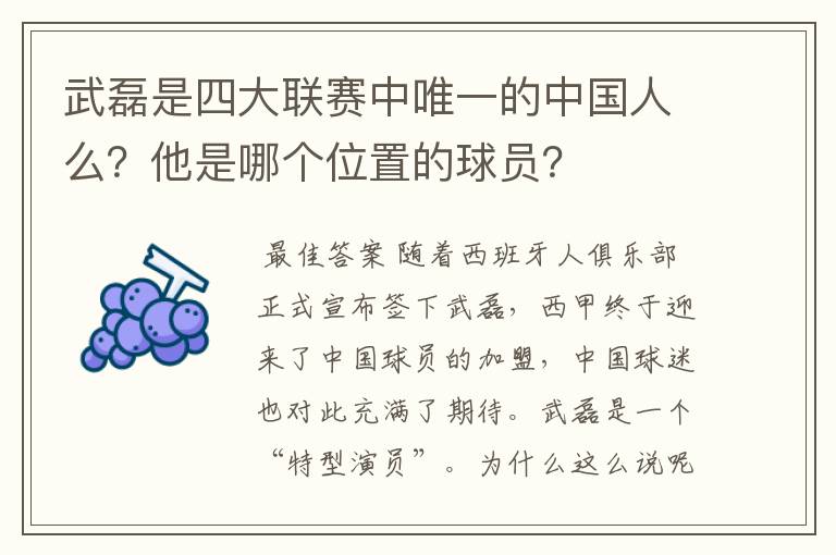 武磊是四大联赛中唯一的中国人么?他是哪个位置的球员?