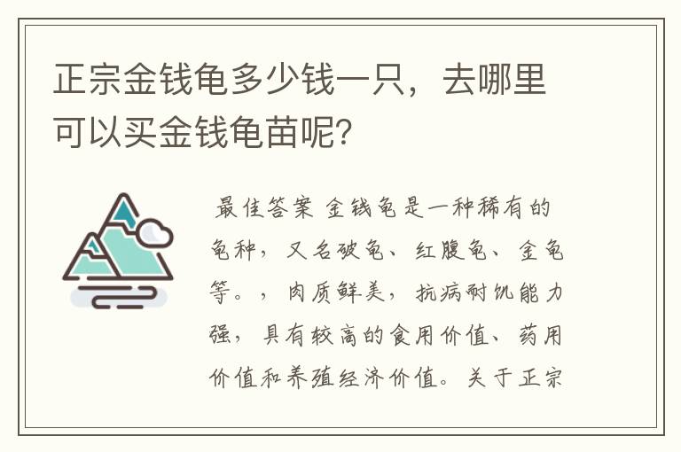 正宗金钱龟多少钱一只,去哪里可以买金钱龟苗呢?