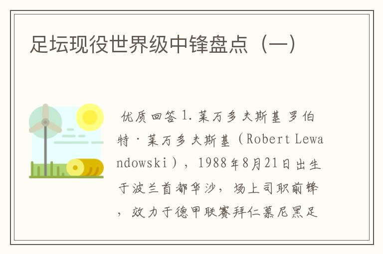 足坛现役世界级中锋盘点(一)